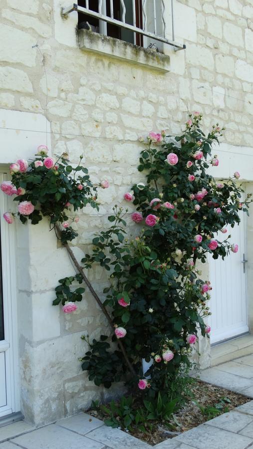 Bed and Breakfast Moulin De Reigner Anche  Экстерьер фото